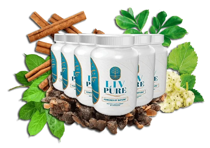 LivPure product image 2